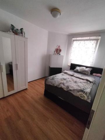 2.OG li SZ