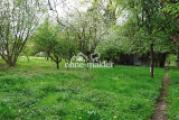 Wiese mit Bienenhaus