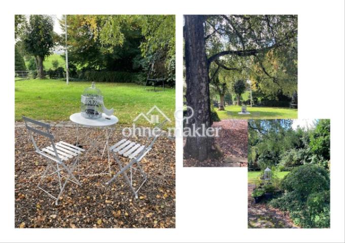 Birke - Blick Süden