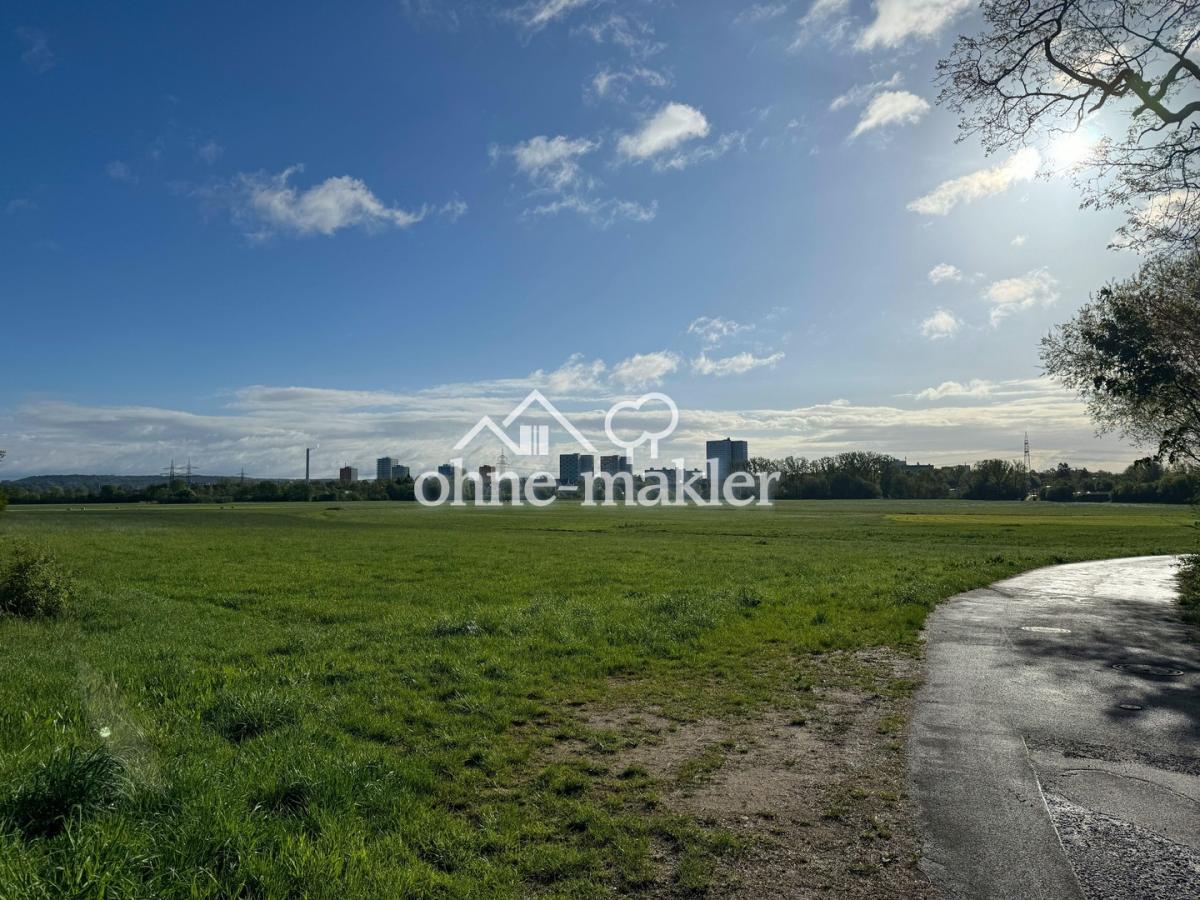 Aussicht Wiesengrund