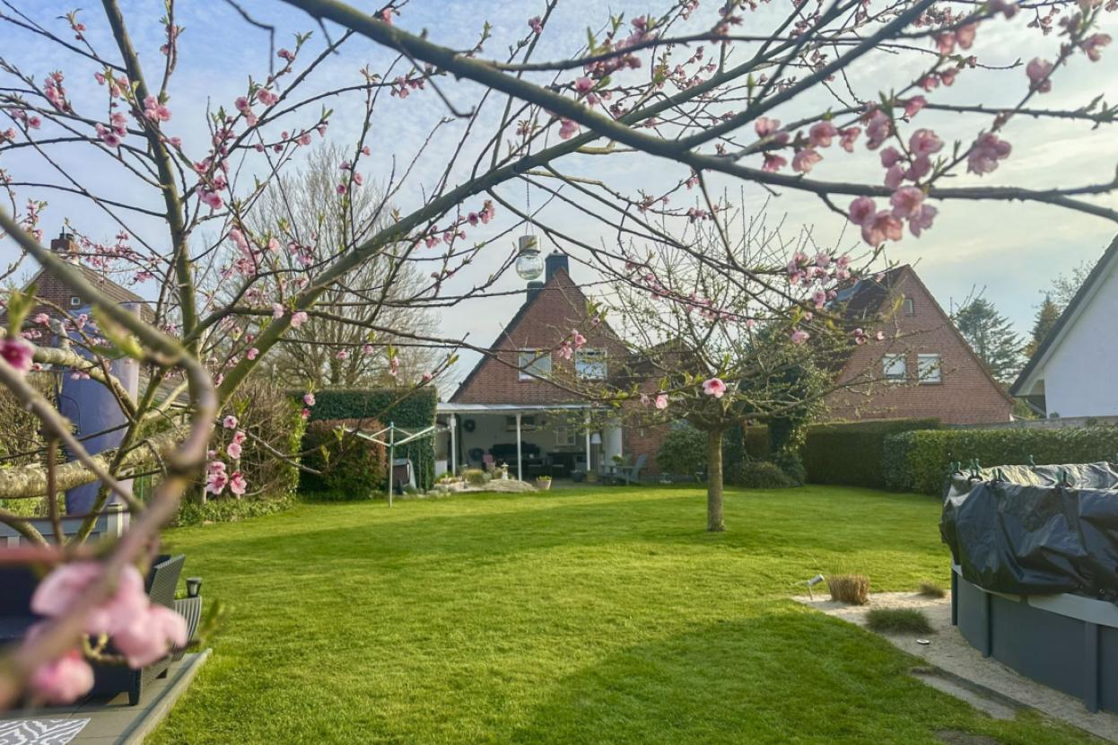 Blühendes Gartenareal