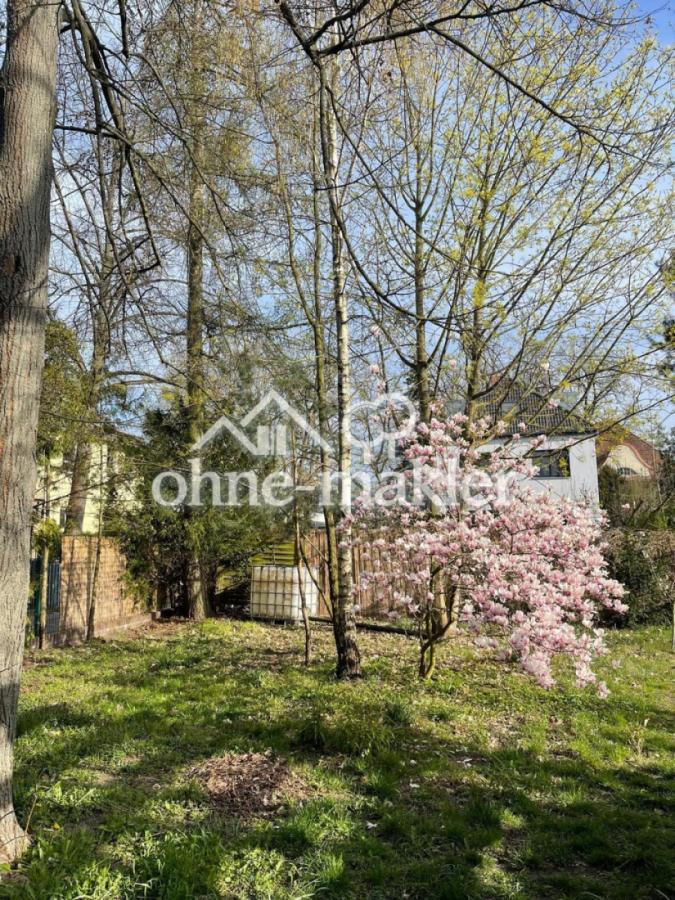 Grundstück Frühjahr