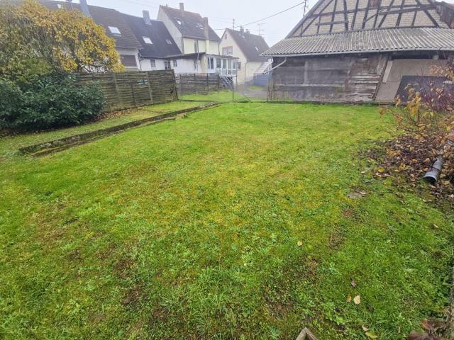 Garten 2