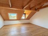 Dachstudio