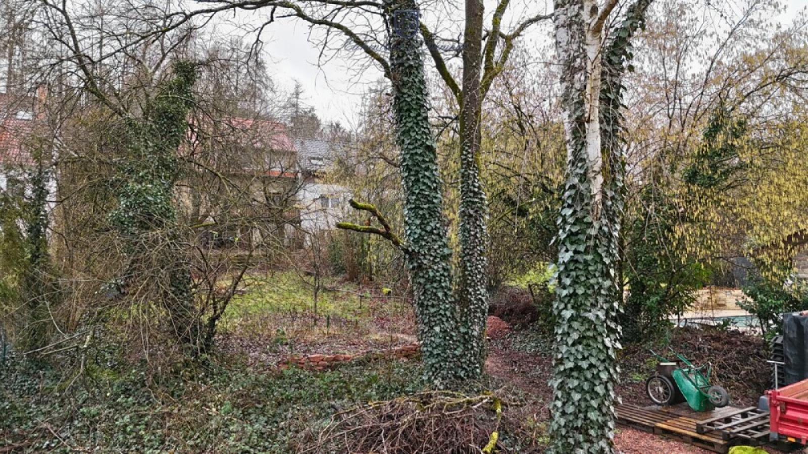 Grundstück 