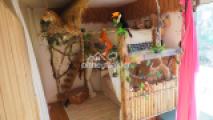 Kinderzimmer 2