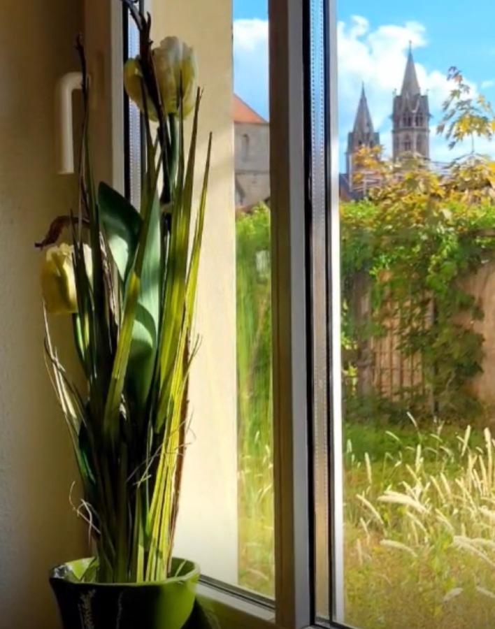 Ausblick