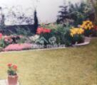 Garten früher mit Wiese