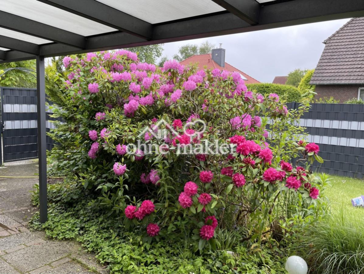 Terrasse / Garten