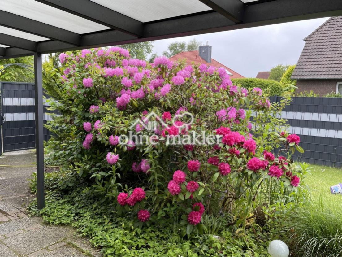 Terrasse / Garten