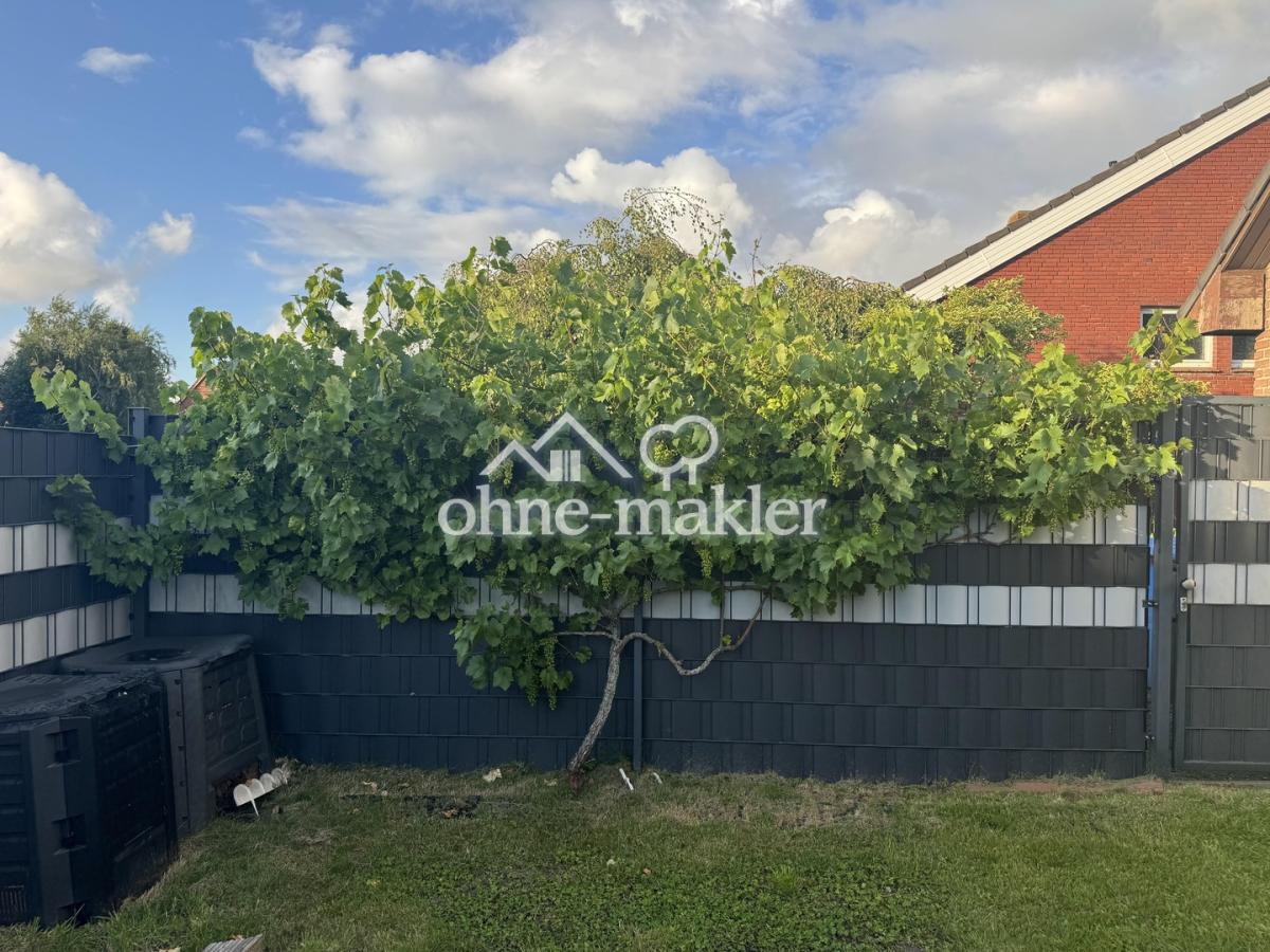 Garten / Weinstock