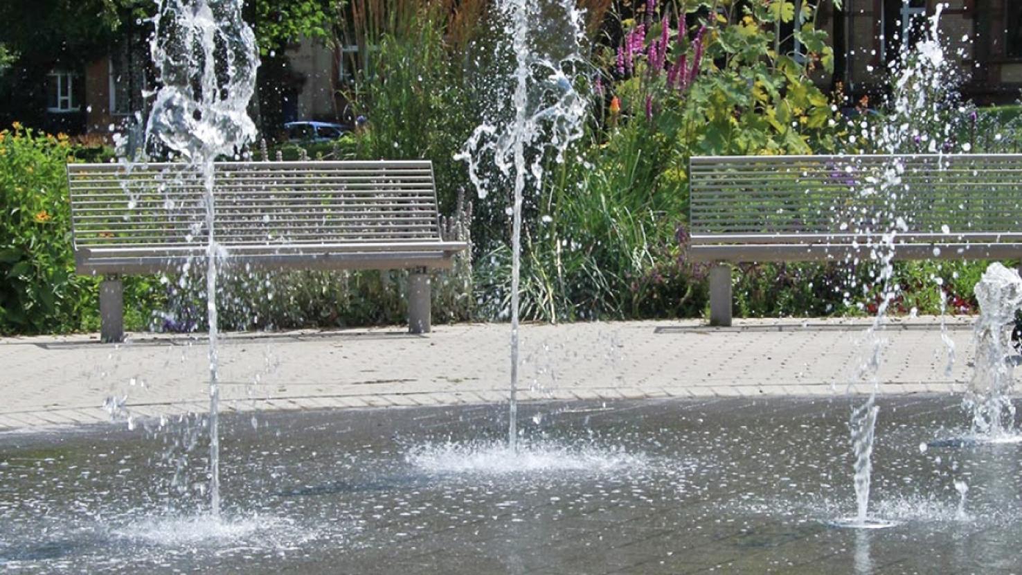 Stadtpark 1 Minute fußläufig entfernt