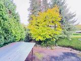Ausblick vom Balkon