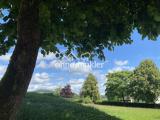 Blick seitlich 1