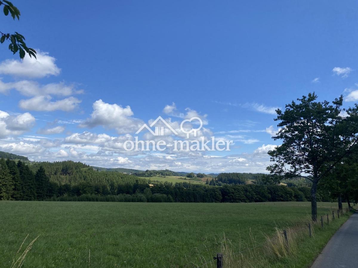 Blick seitlich 2