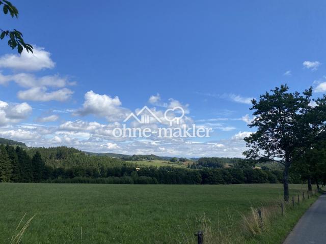 Blick seitlich 2