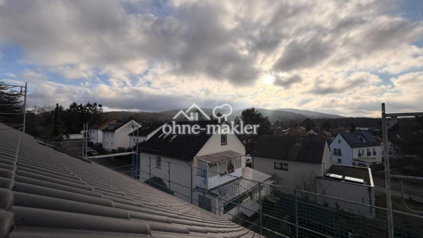 Blick über Eberstadt