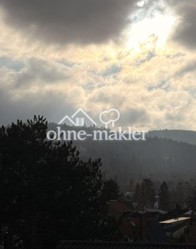 Blick Burg Frankenstein
