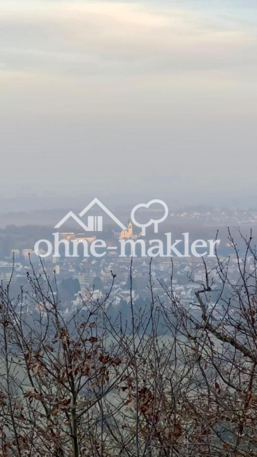 Fernblick