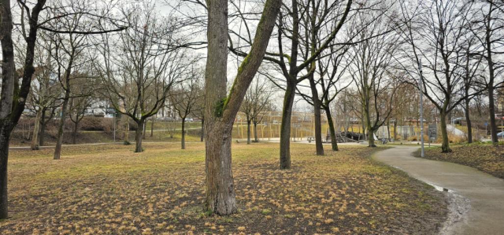 Walckerpark