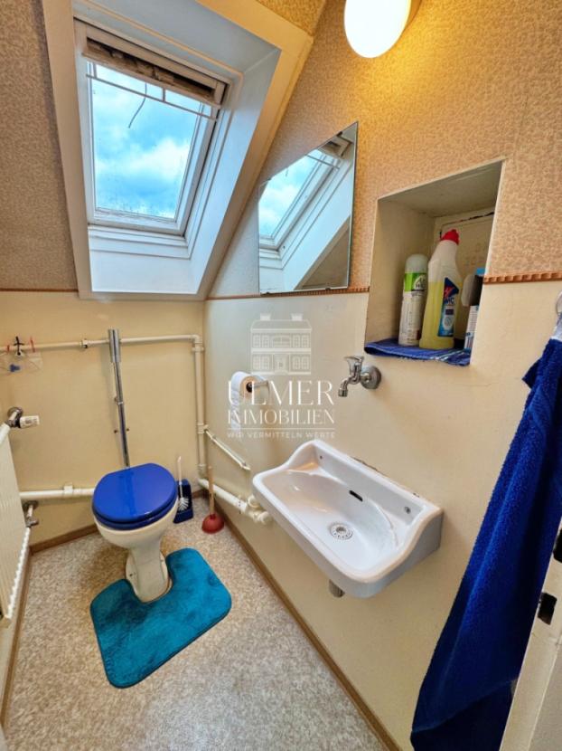 WC DG