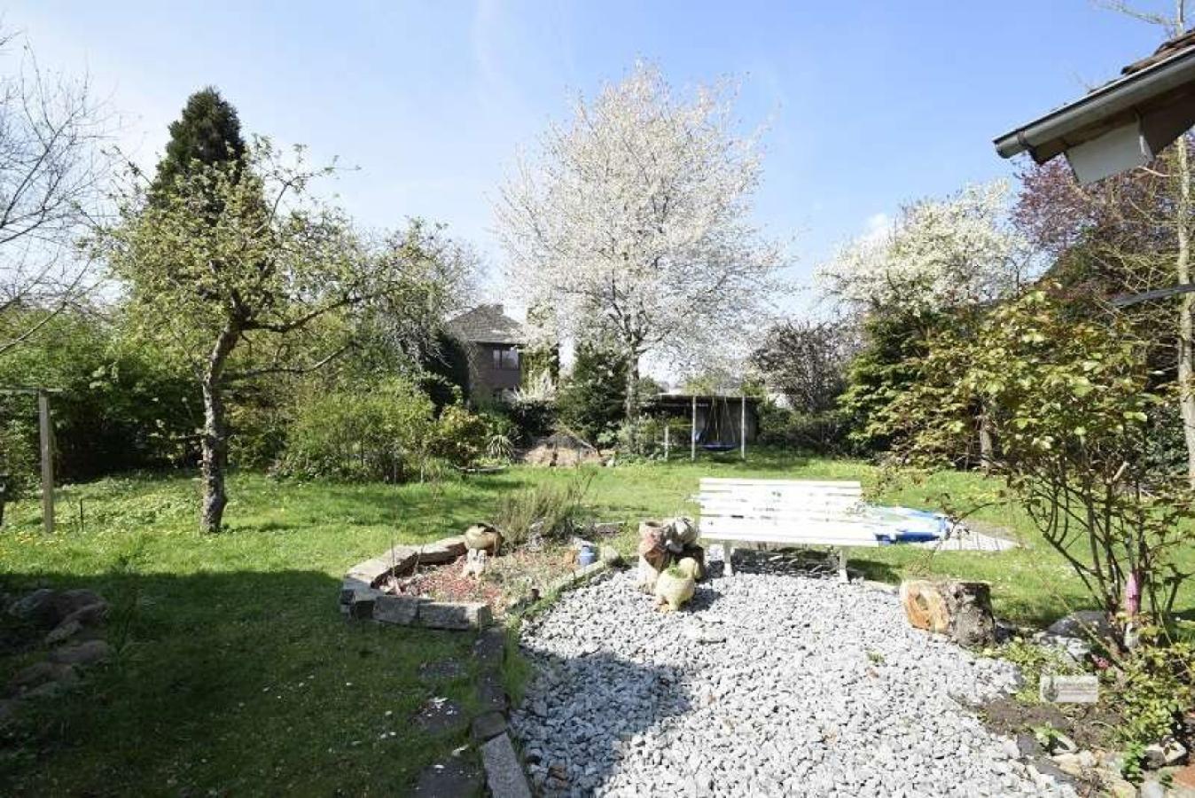 Blick in den Garten