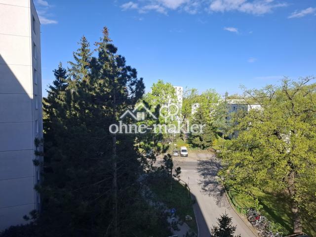 Ausblick Wohnzimmer 2