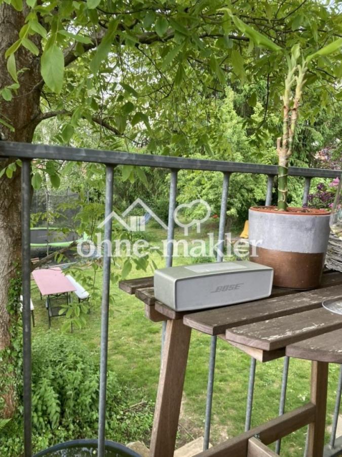 Blick in den Garten
