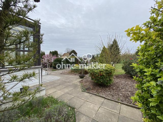 Blick in den Garten