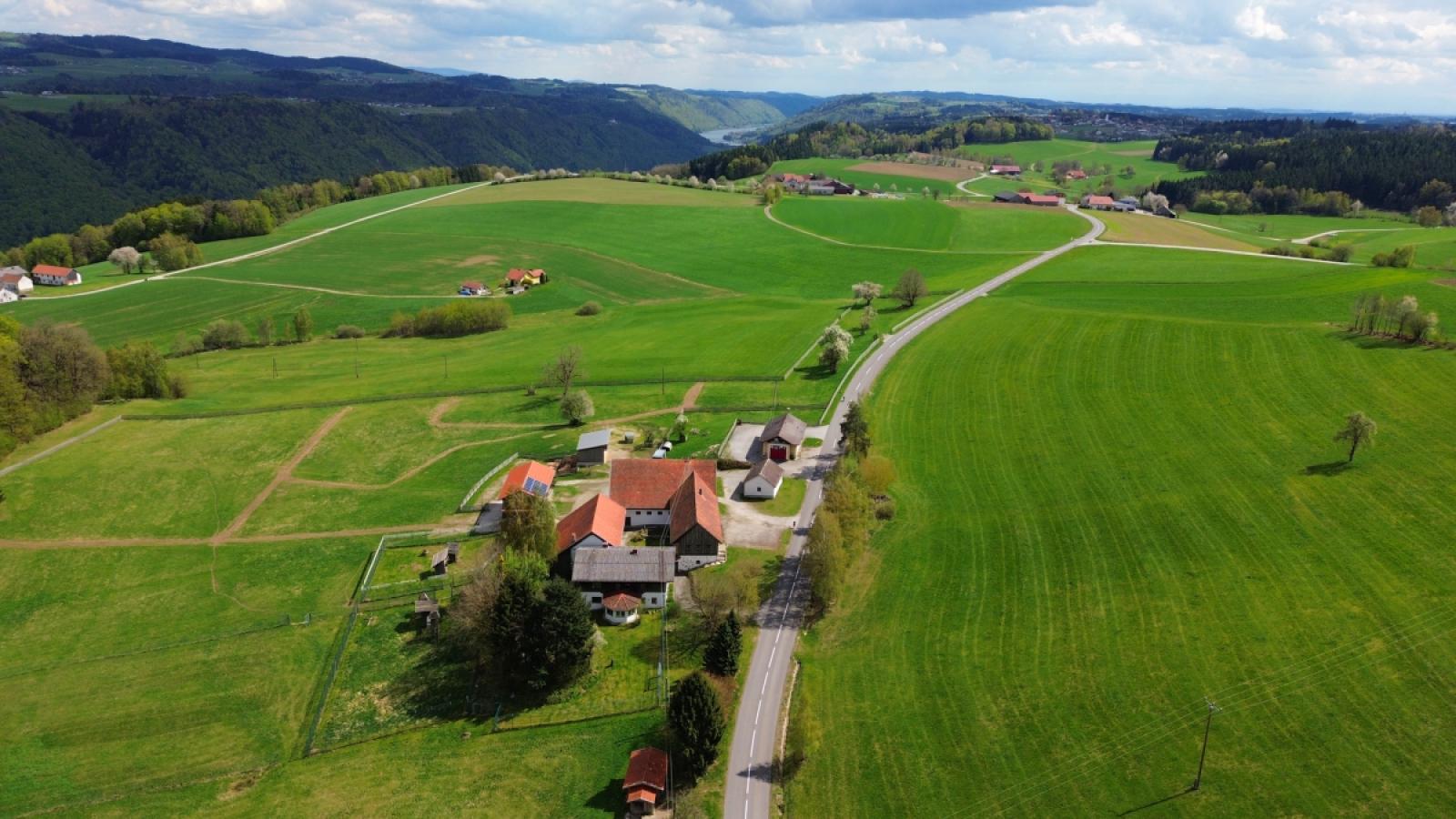 Luftbild