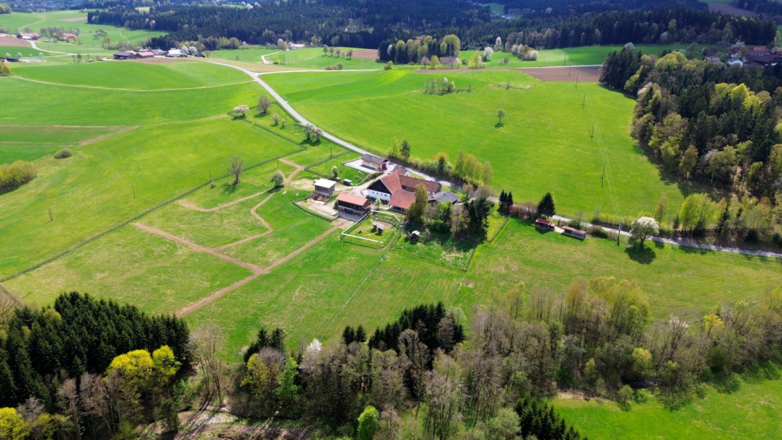 Luftbild