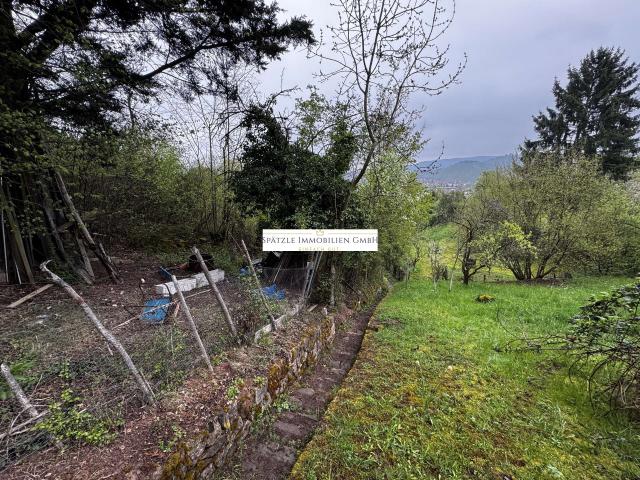 Garten mit Aussicht zur Grabkapelle auf dem Würrtemberg