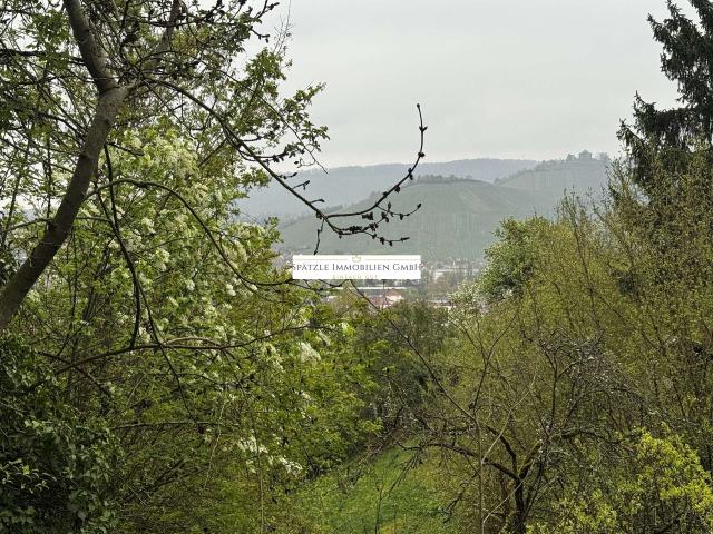 Aussicht auf die Grabkapelle auf dem Würrtemberg