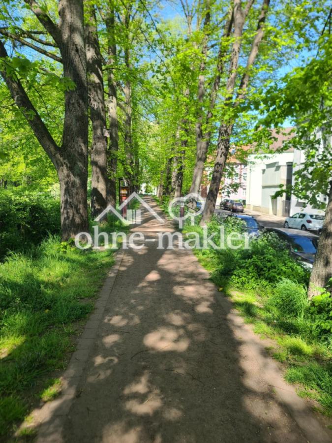 Wallrundweg 1 Frühling