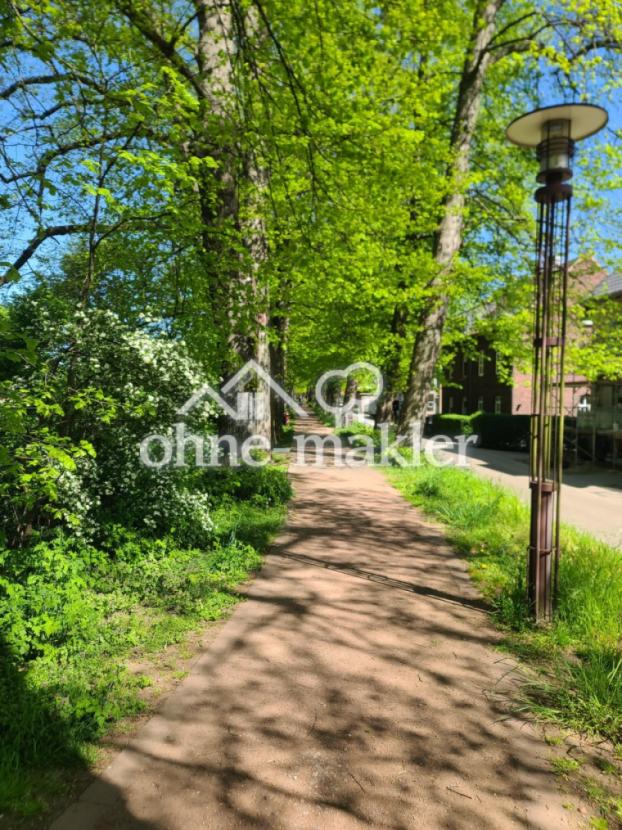 Wallrundweg 2 Frühling