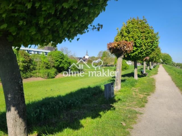 Rheindeich 1 Frühling