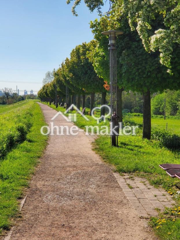 Rheindeich 2 Frühling