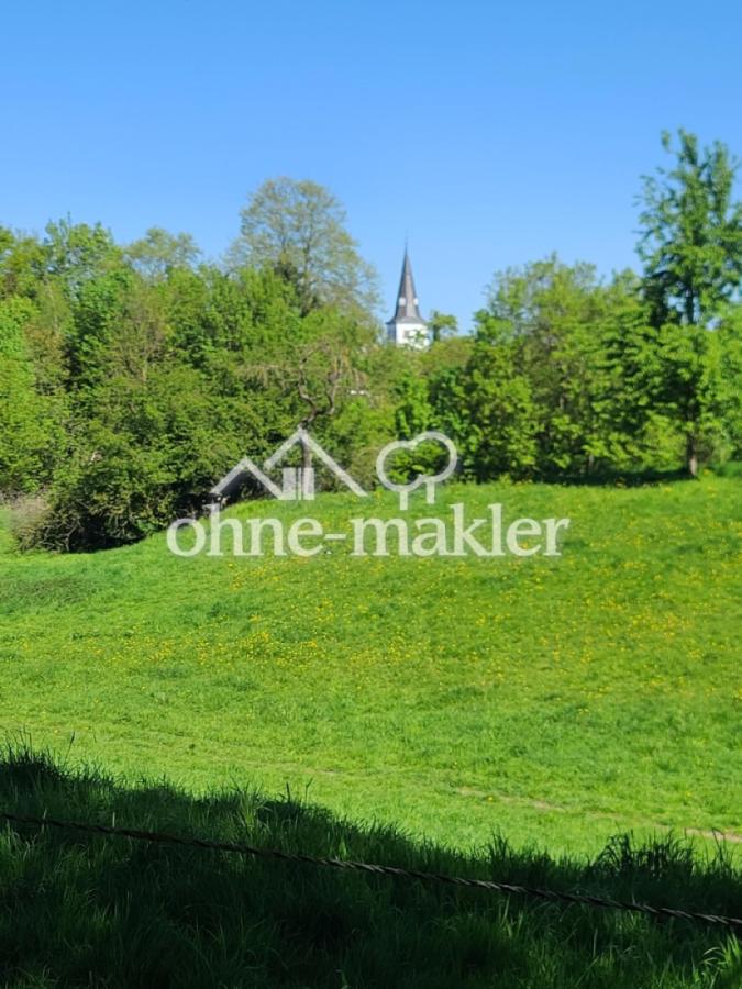 Weg um Orsoy Frühling