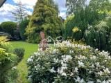 Westseite Garten