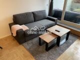 Wohnzimmer/Schlafzimmer