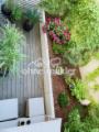 Terrasse hinten, Bild 2