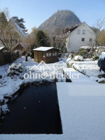 Teich, Gartenhaus im Winter