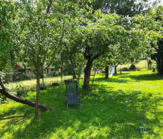 Garten 4