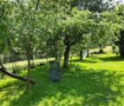 Garten 4