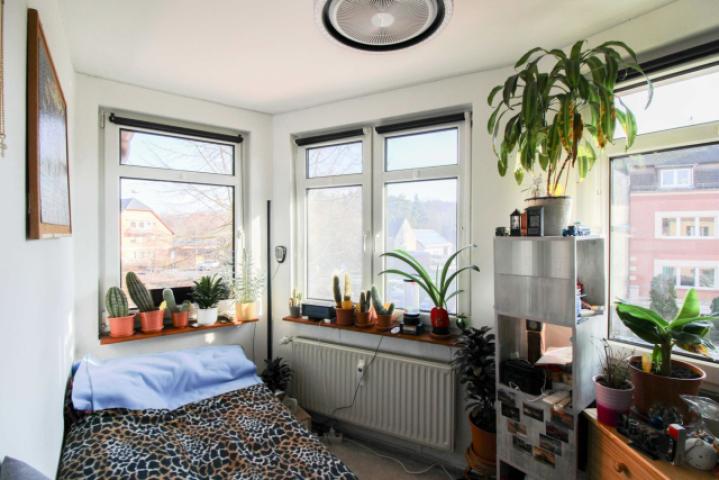 Zimmer OG 2