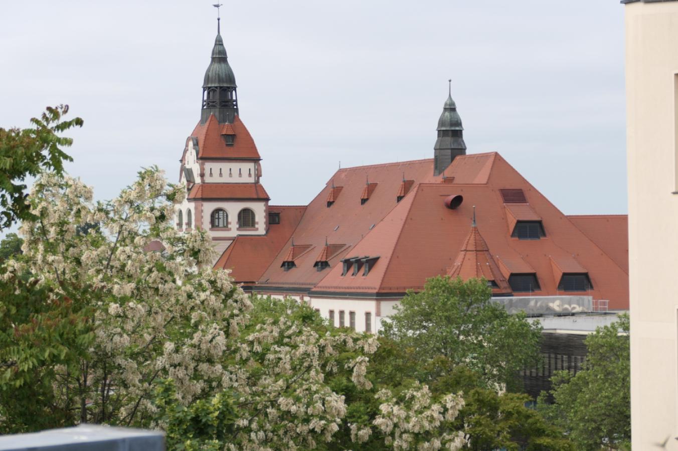 Zooblick