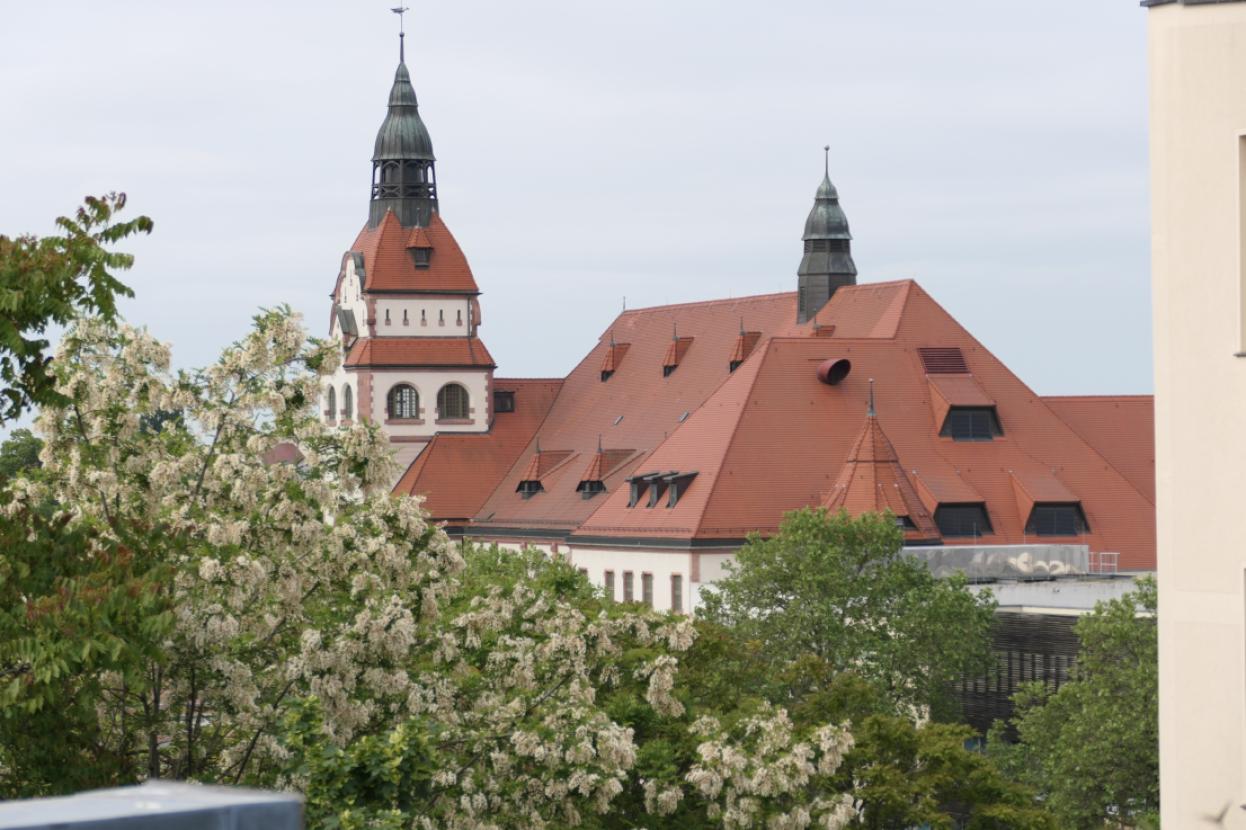 Zooblick