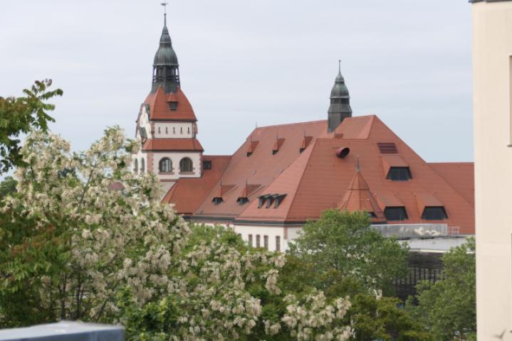 Zooblick