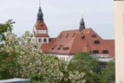 Zooblick