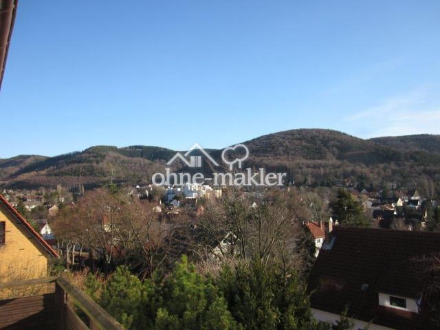 Ausblick Südbalkon
